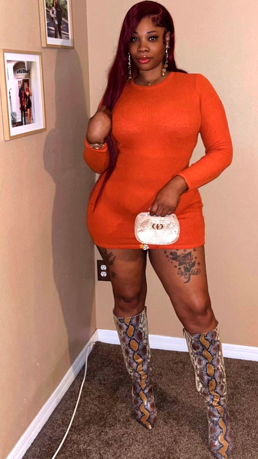 "Spicy" Mini dress